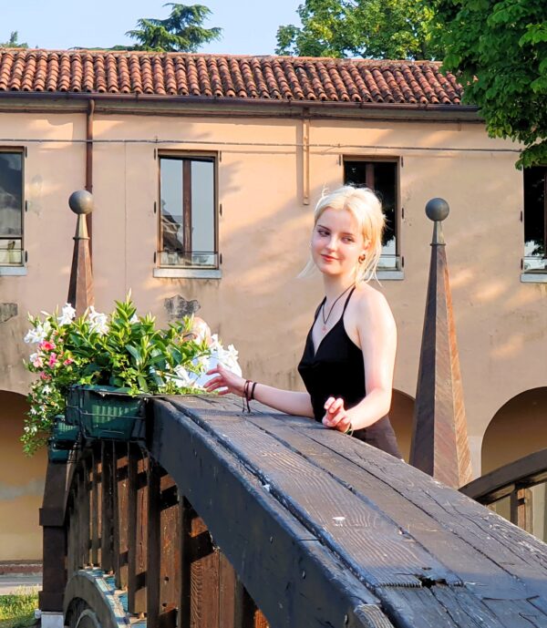 III etap: Winnice, góry i mury