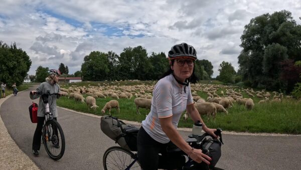 Nie ma nawet Żabki – V etap Donauradweg 2024