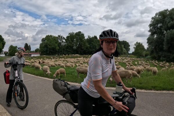 Nie ma nawet Żabki – V etap Donauradweg 2024